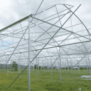 Làm Chuồng Trại Khung Sắt Tại Đà Nẵng Cho Farm, Trang Trại Chăn Nuôi
